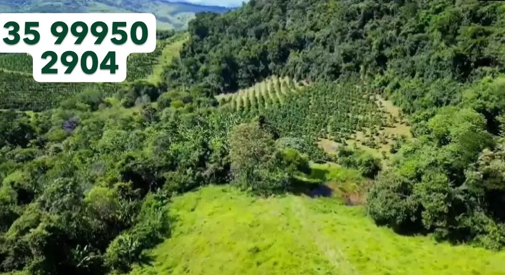Fazenda, 51 hectares - Foto 3