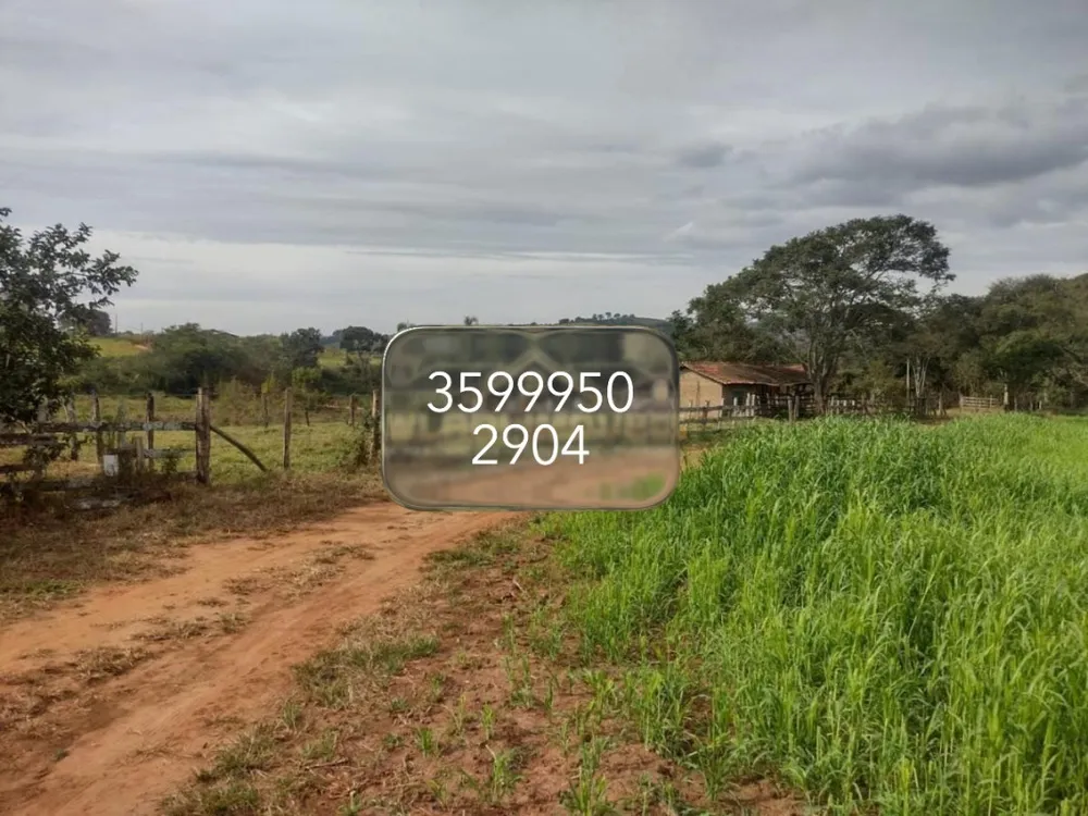 Sítio, 1 quarto, 51 hectares - Foto 16