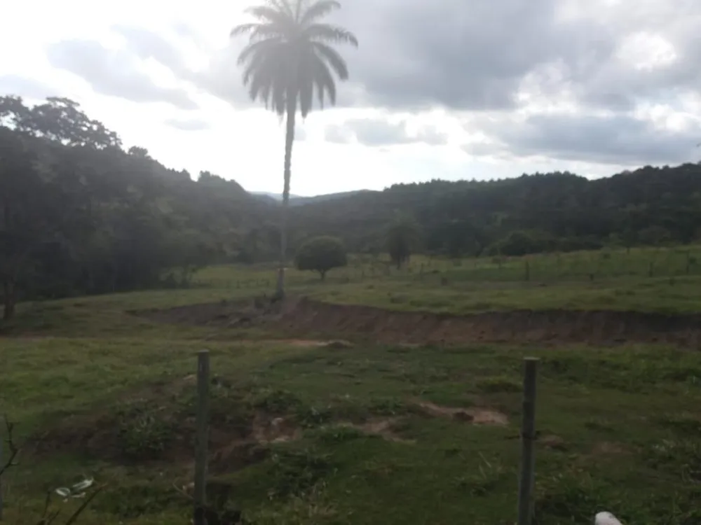 Sítio, 1 quarto, 253000 m² - Foto 11
