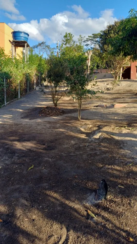 Chácara, 3 quartos, 1000 m² - Foto 6