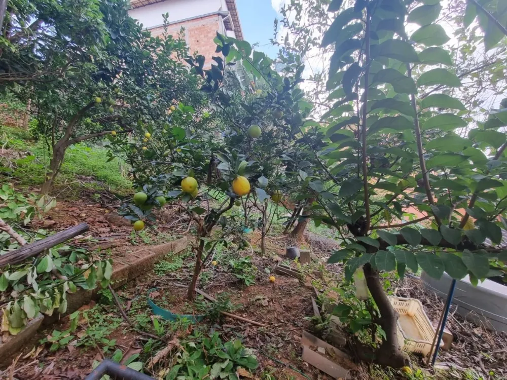 Terreno, 425 m² - Foto 5
