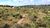Terreno, 2 hectares - Foto 3