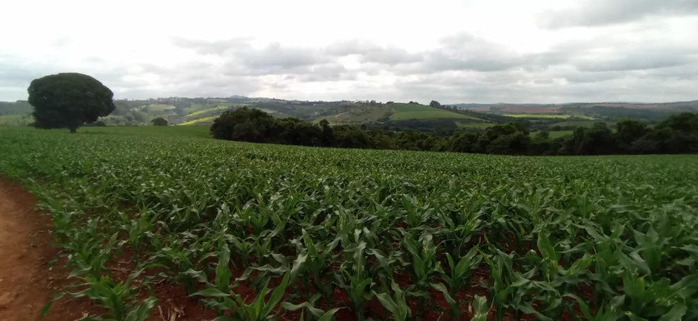 Chácara à venda com 1 quarto, 2040000m² - Foto 4