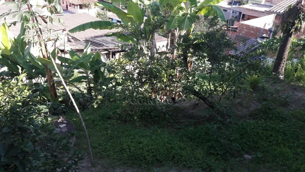 Casa, 4 quartos, 400 m² - Foto 4