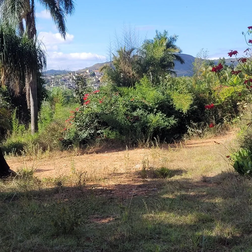 Terreno, 5270 m² - Foto 4