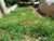 Terreno, 300 m² - Foto 2