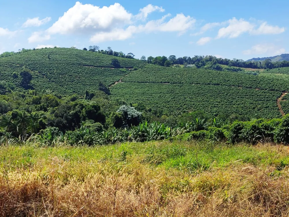 Fazenda, 106 hectares - Foto 2
