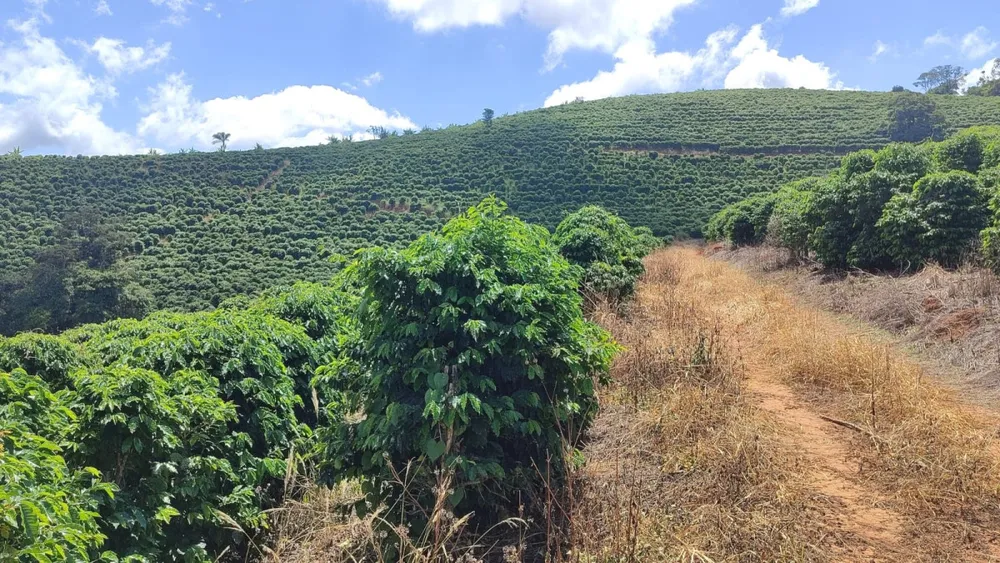 Fazenda, 106 hectares - Foto 3