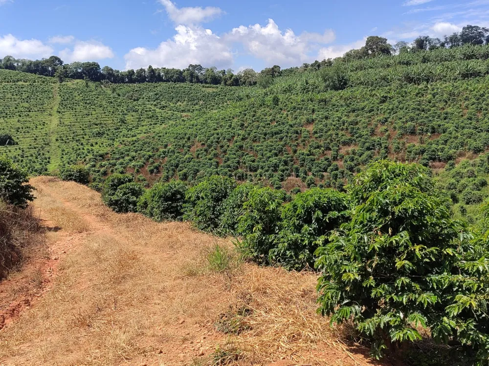 Fazenda, 106 hectares - Foto 4