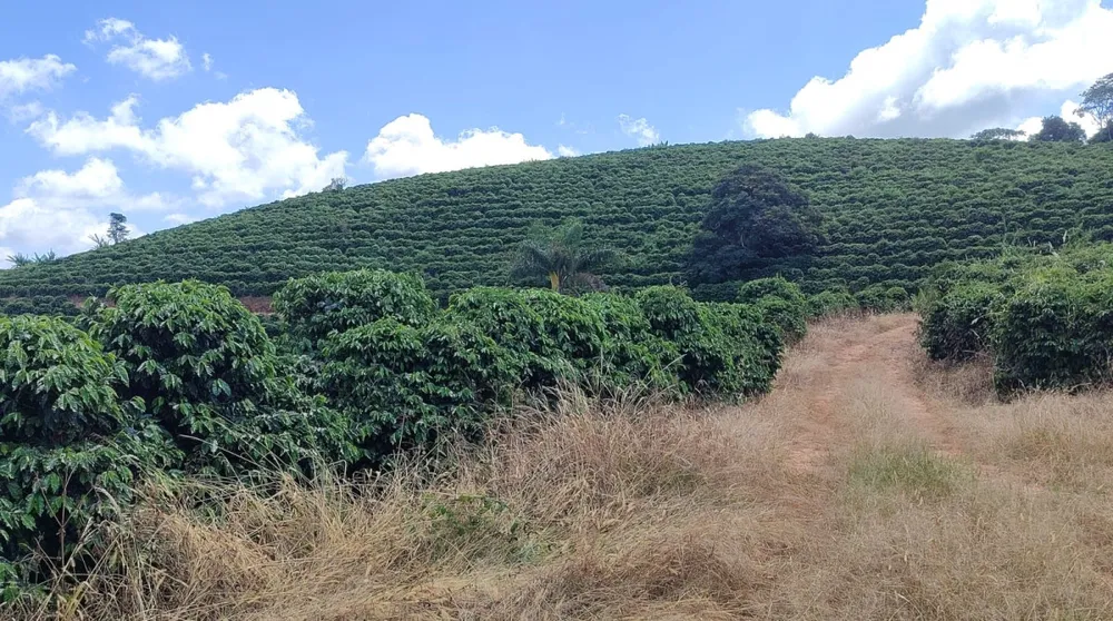 Fazenda, 106 hectares - Foto 11