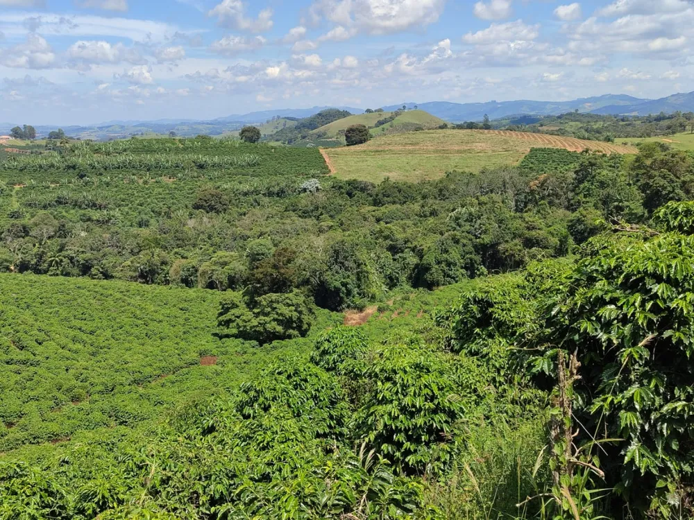 Fazenda, 106 hectares - Foto 1