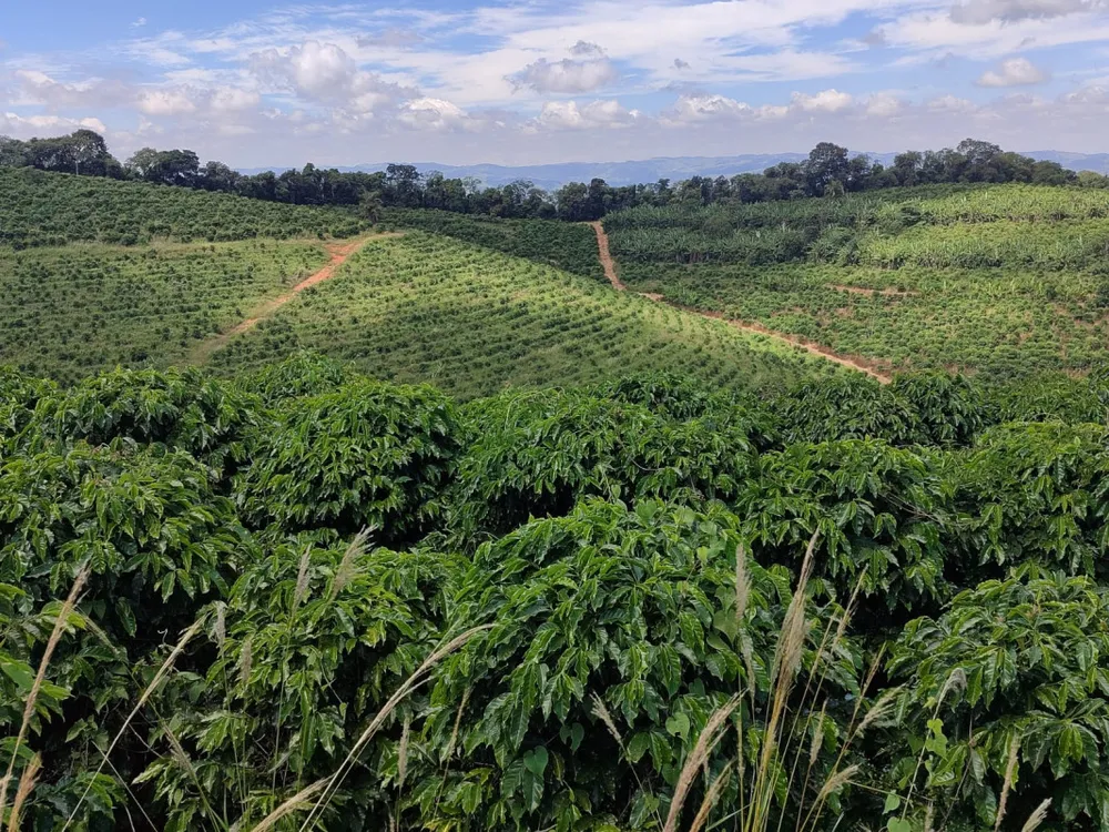 Fazenda, 106 hectares - Foto 1