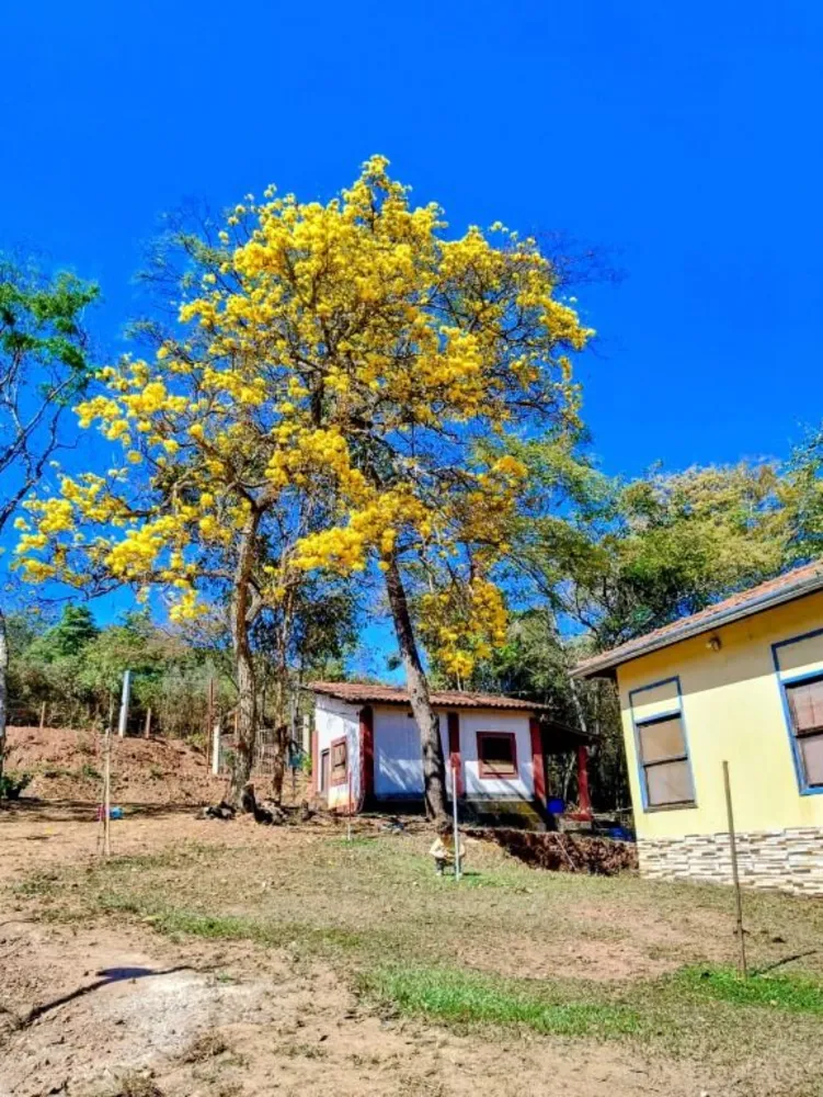 Chácara, 2 quartos - Foto 5