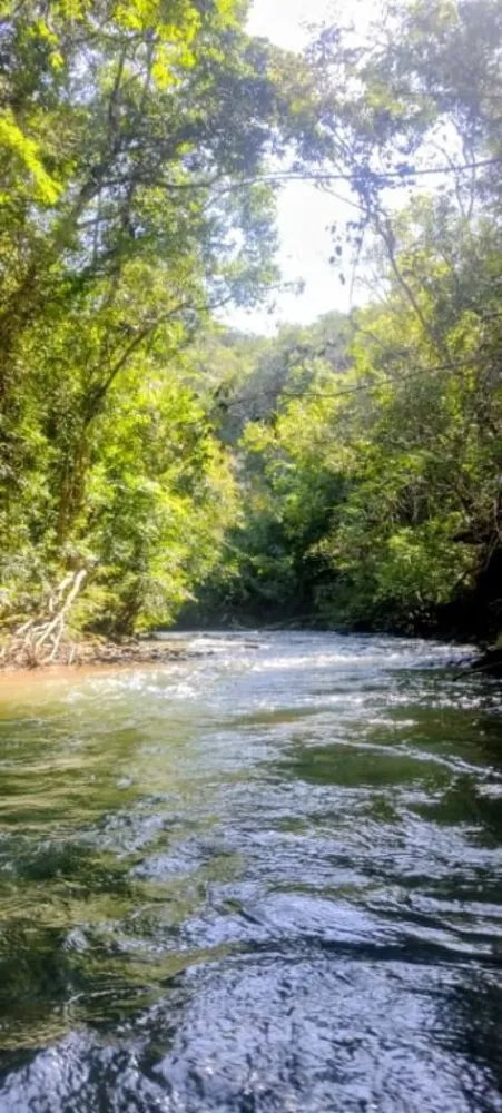 Chácara, 2 quartos - Foto 6