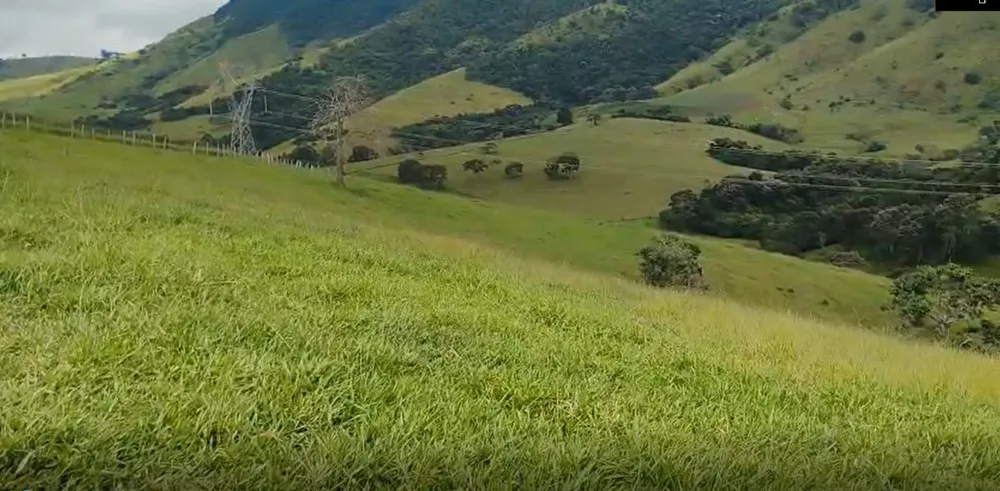 Fazenda, 57 hectares - Foto 5