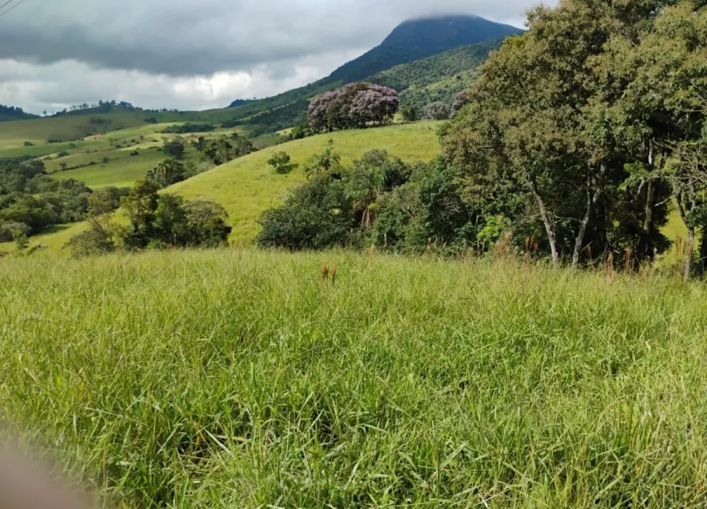 Fazenda, 57 hectares - Foto 7
