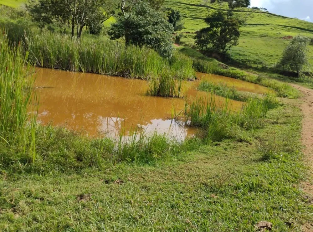 Fazenda, 57 hectares - Foto 2