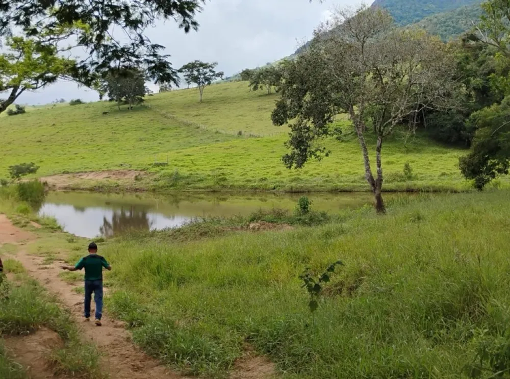 Fazenda, 57 hectares - Foto 1