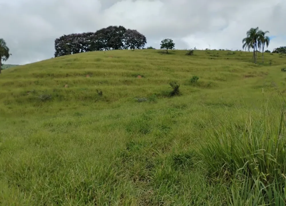 Fazenda, 57 hectares - Foto 8