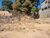 Terreno, 600 m² - Foto 5