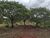 Chácara, 1 quarto - Foto 3