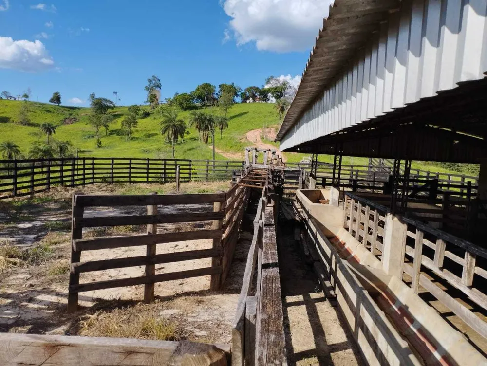 Fazenda, 730 hectares - Foto 3