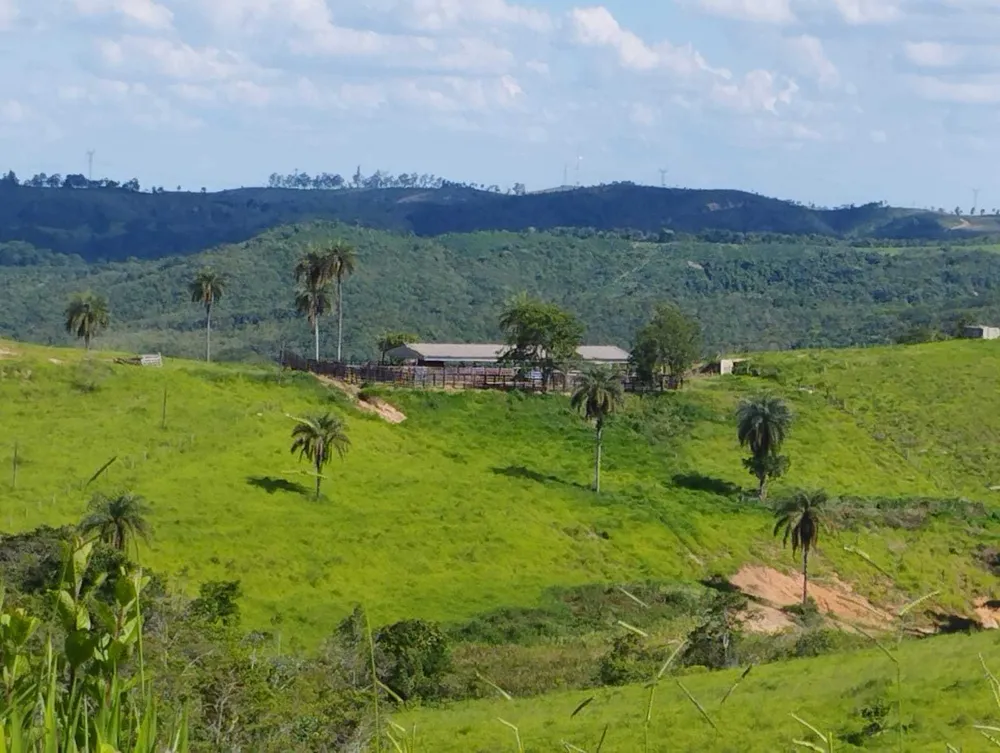 Fazenda, 730 hectares - Foto 8