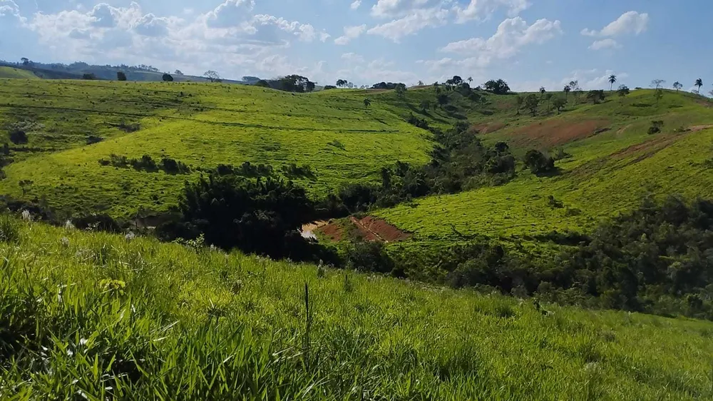 Fazenda, 730 hectares - Foto 5