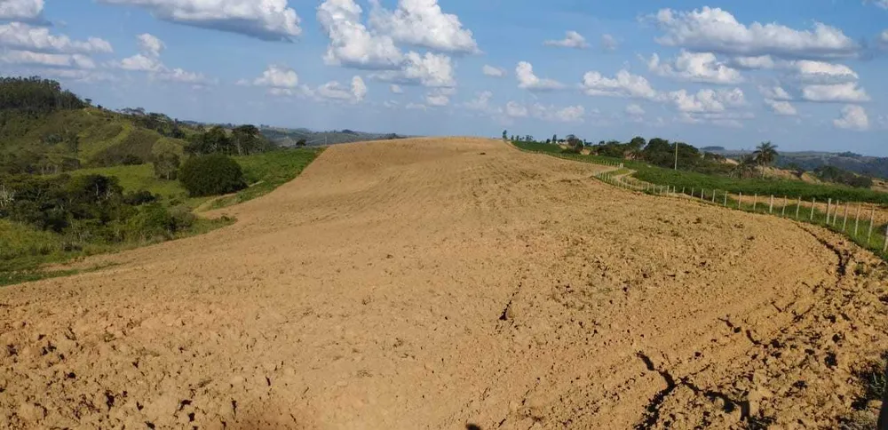 Fazenda, 730 hectares - Foto 4