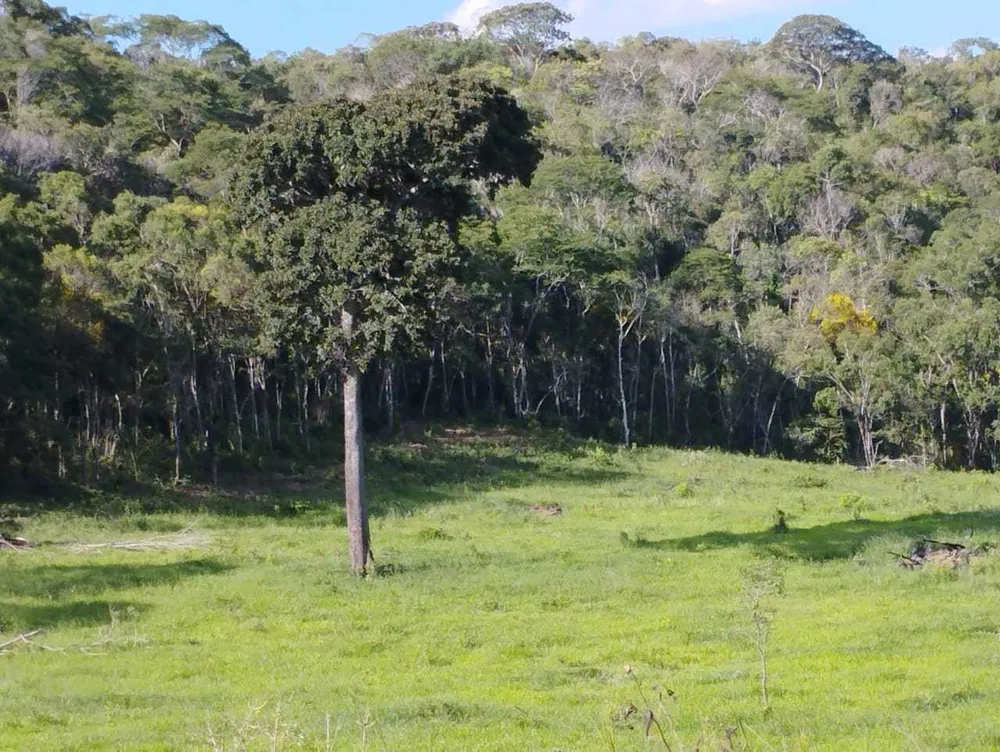 Fazenda, 730 hectares - Foto 9