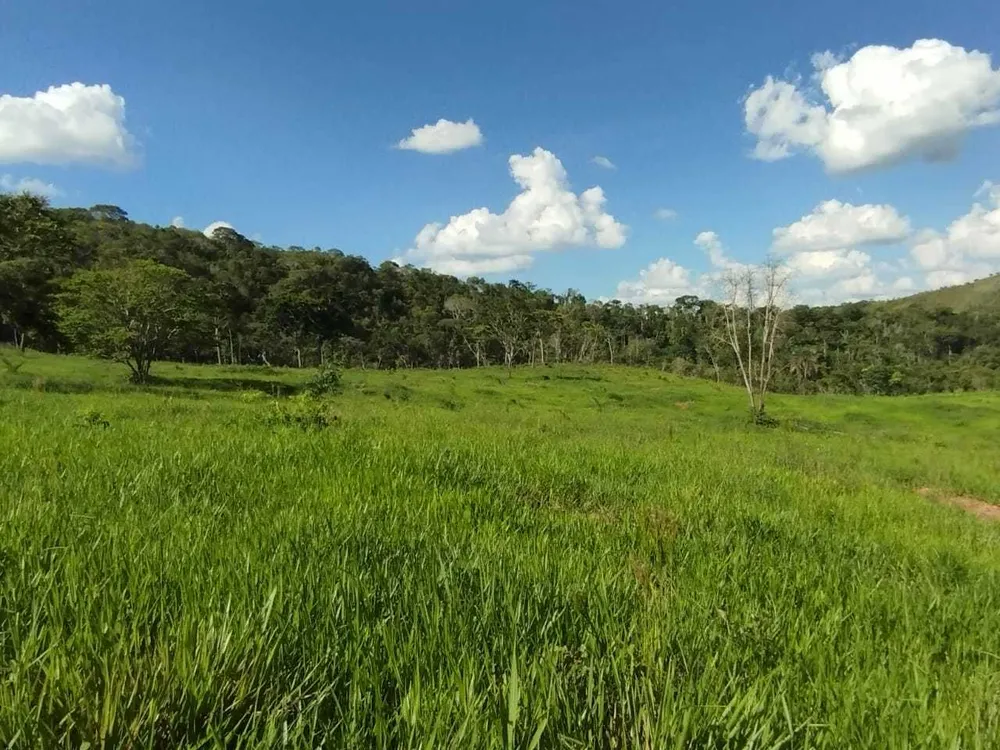 Fazenda, 730 hectares - Foto 11