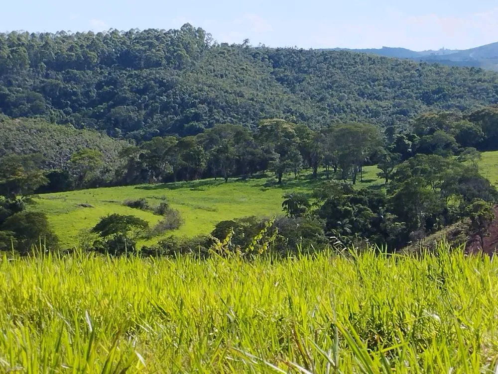 Fazenda, 730 hectares - Foto 14