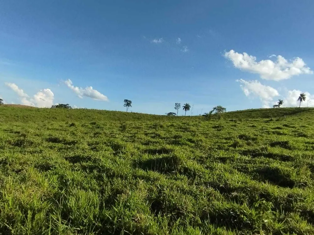 Fazenda, 730 hectares - Foto 7