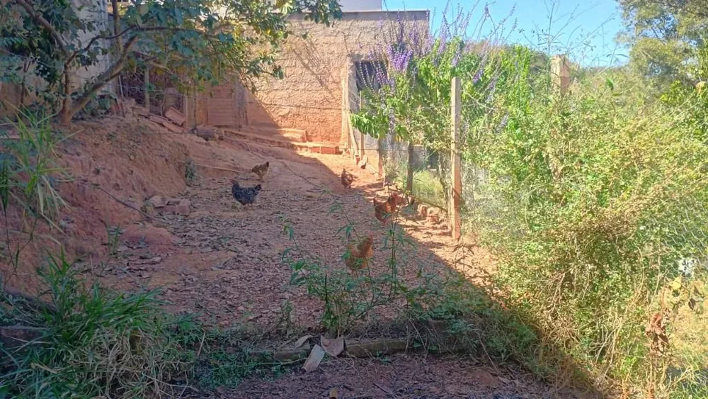 Terreno, 2000 m² - Foto 16