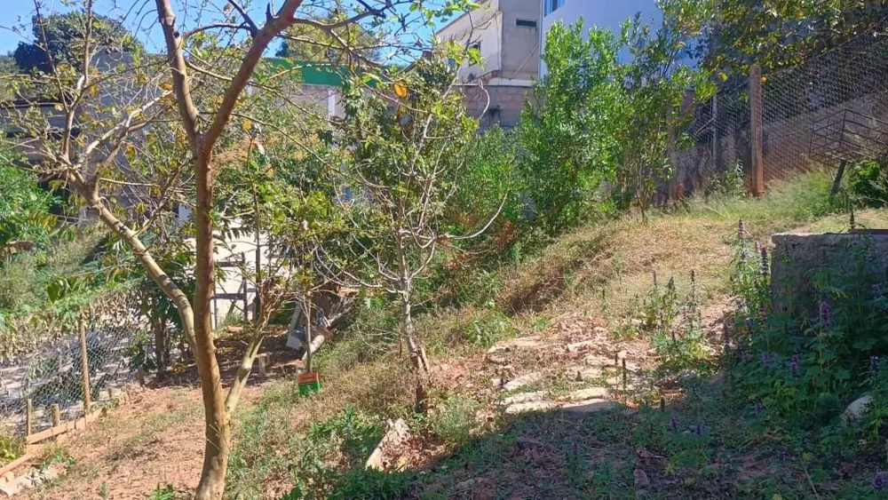 Terreno, 2000 m² - Foto 10