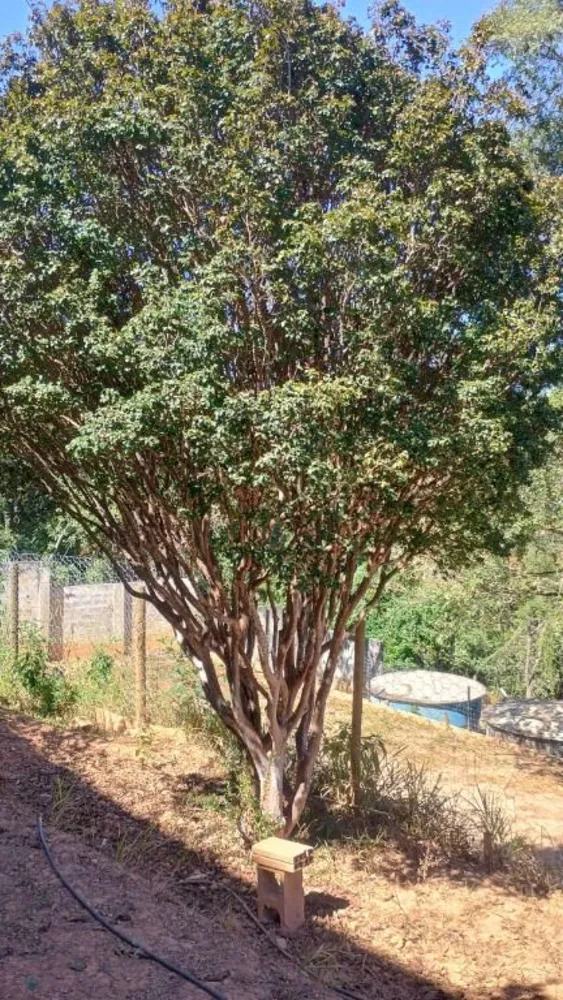 Terreno, 2000 m² - Foto 11