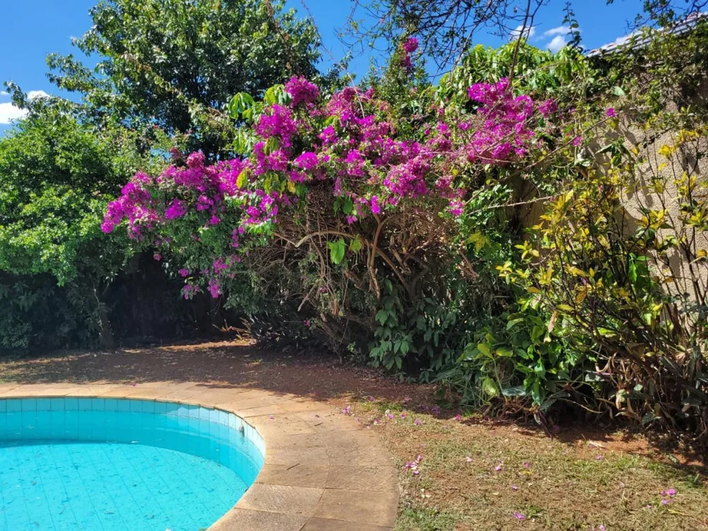 Casa, 4 quartos, 237 m² - Foto 4