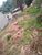 Terreno, 360 m² - Foto 1