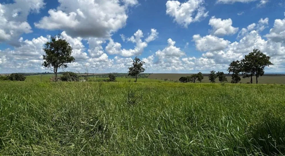 Fazenda, 205 m² - Foto 2