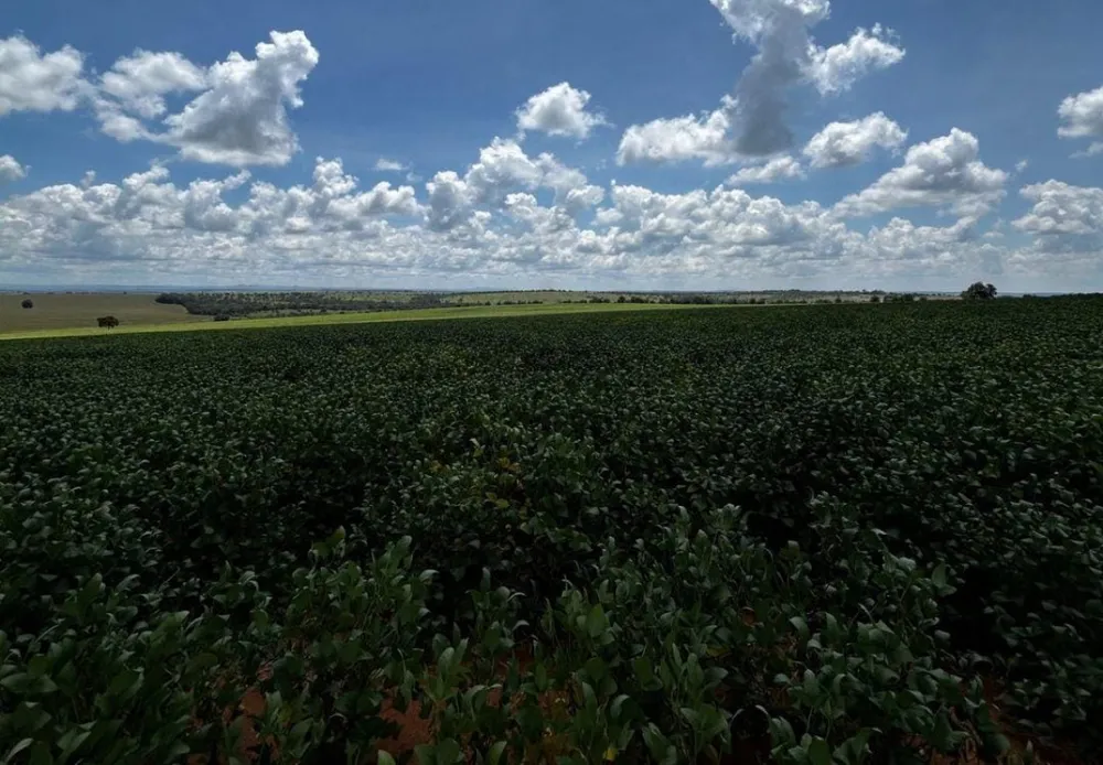 Fazenda, 205 m² - Foto 1