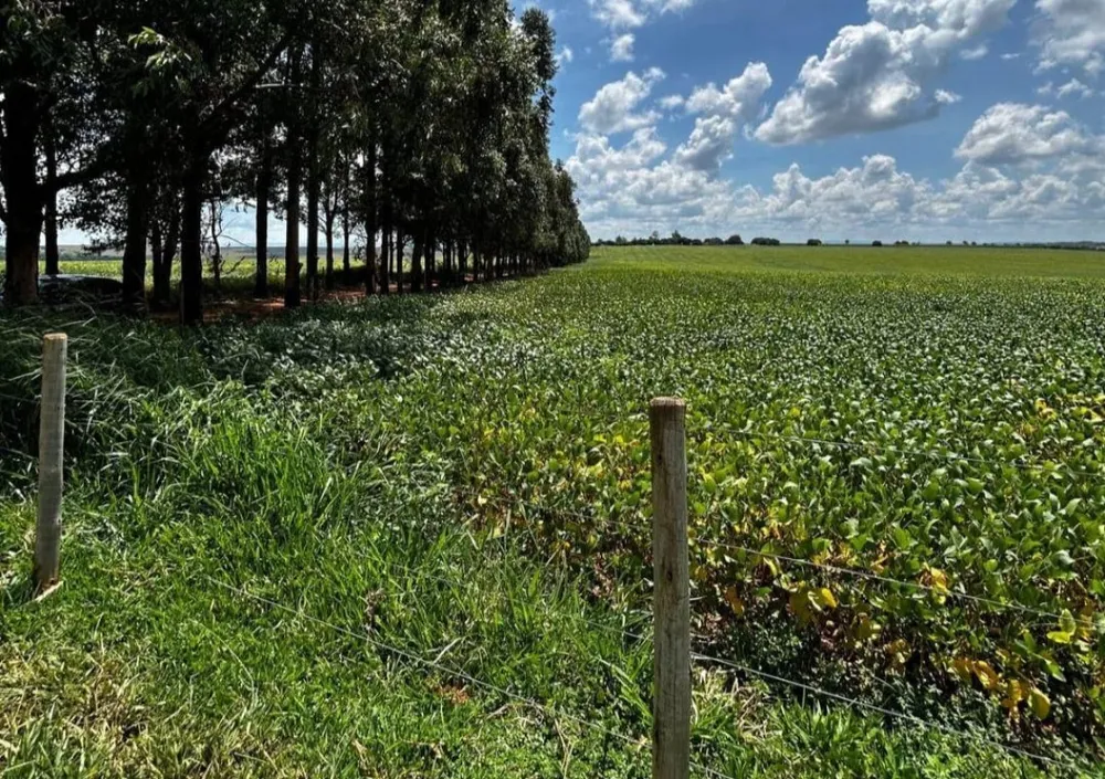 Fazenda, 205 m² - Foto 8