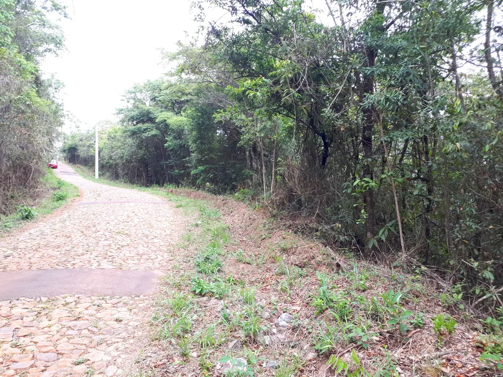 Terreno, 1 hectares - Foto 3