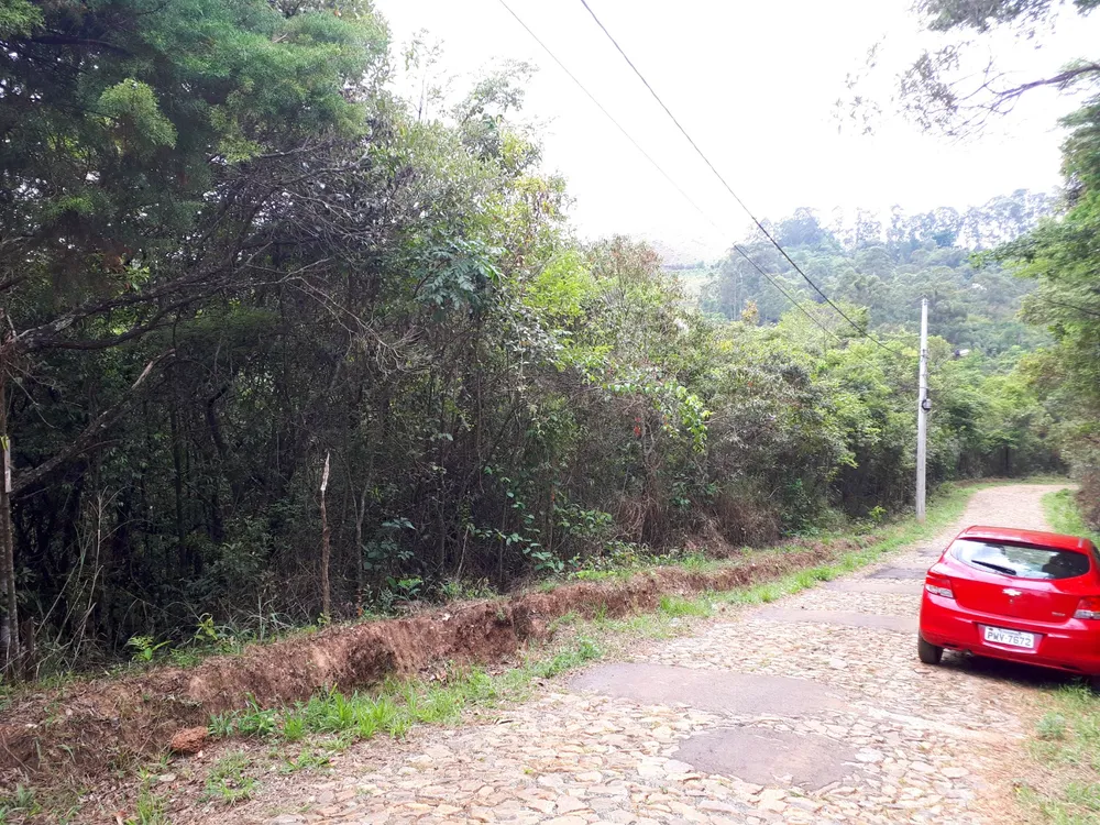 Terreno, 1 hectares - Foto 7