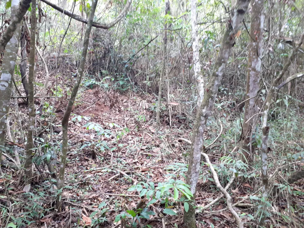 Terreno, 1 hectares - Foto 8