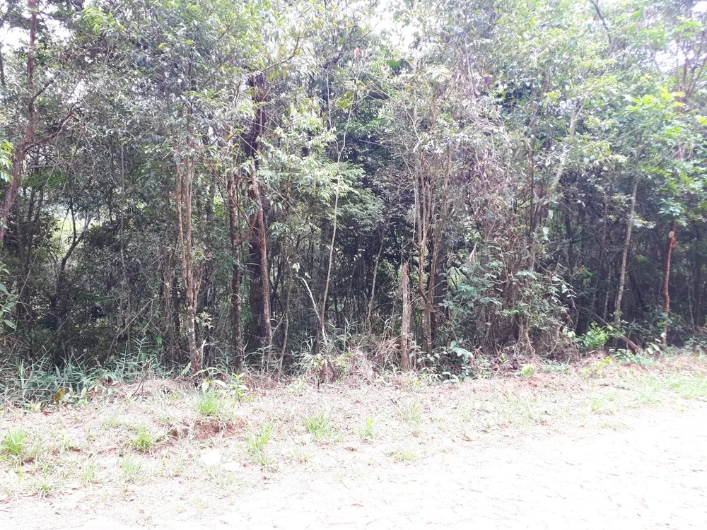 Terreno, 1 hectares - Foto 6