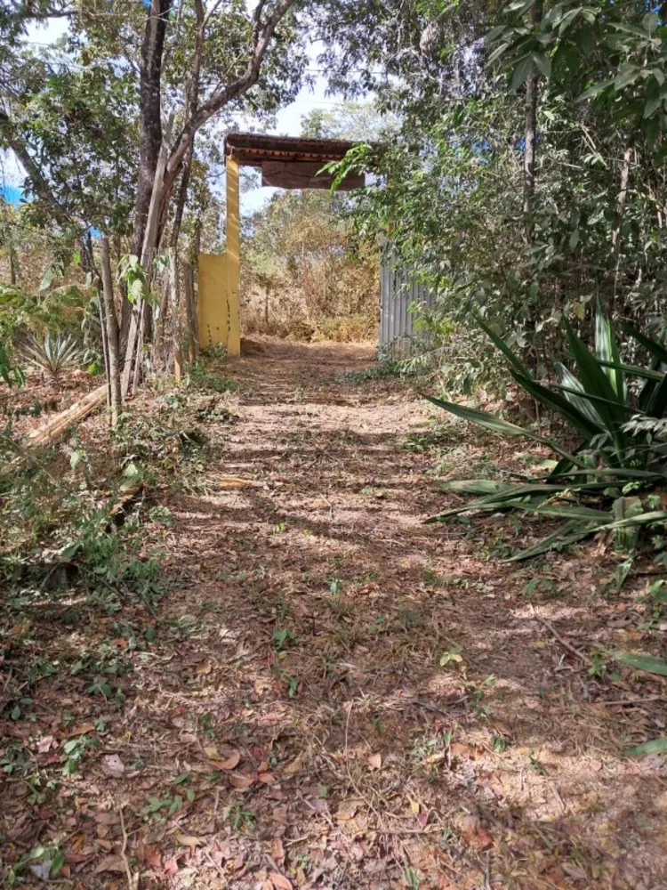 Chácara, 4 quartos - Foto 3