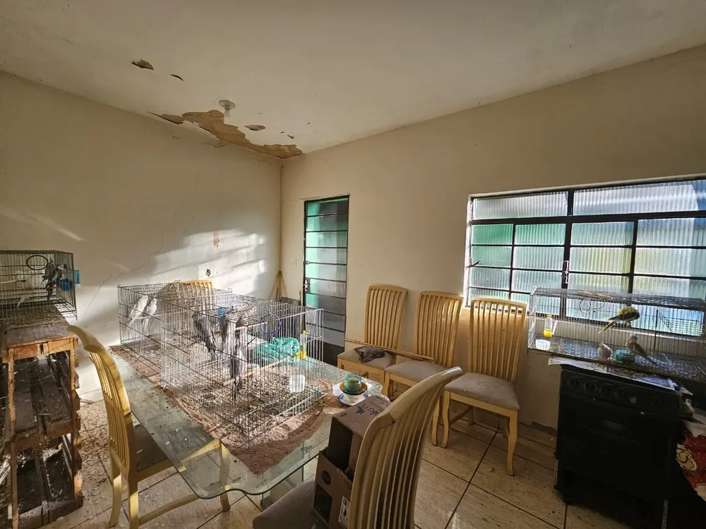 Terreno, 435 m² - Foto 8