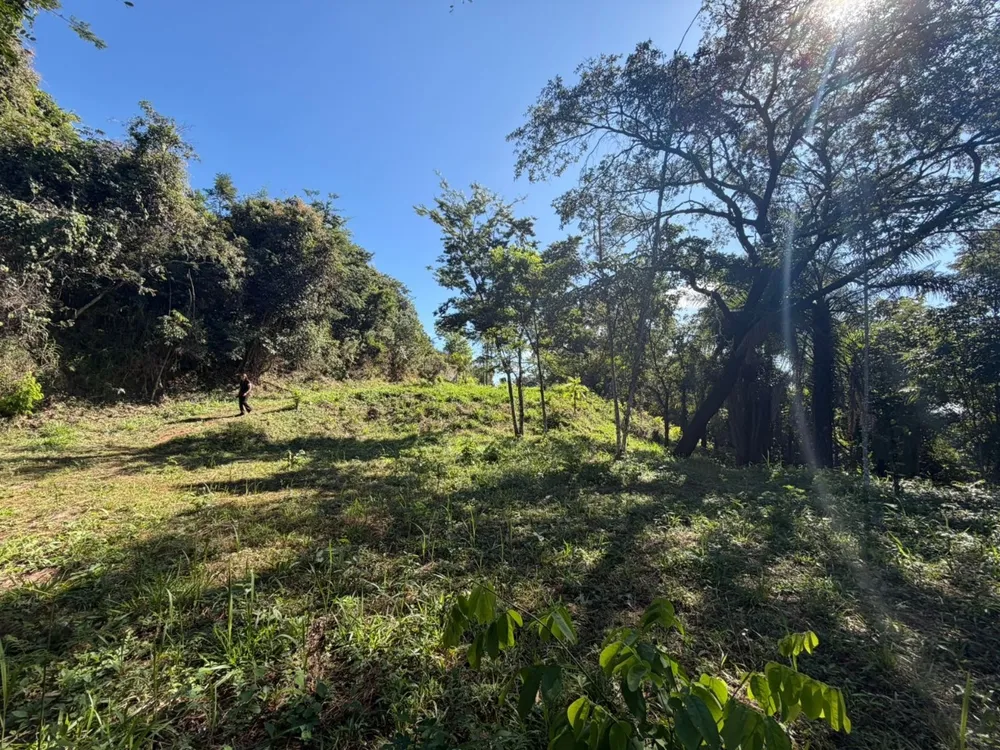 Terreno, 2450 m² - Foto 10