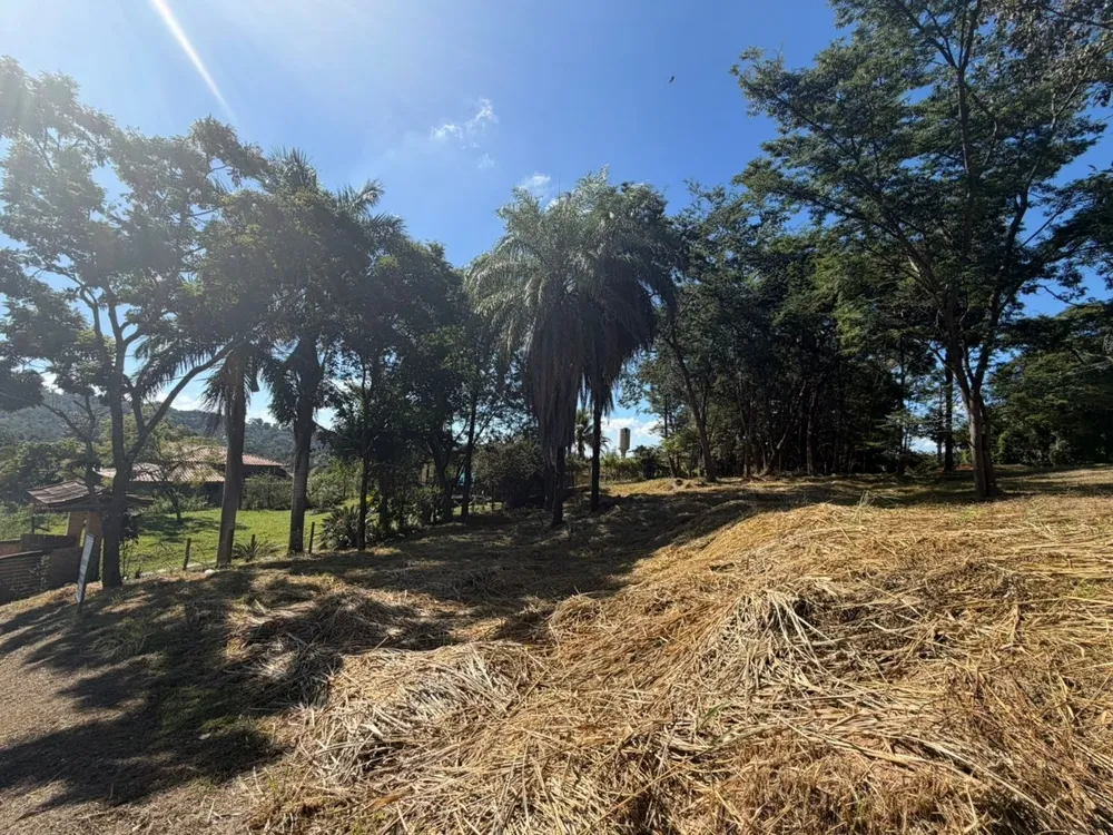 Terreno, 2450 m² - Foto 7