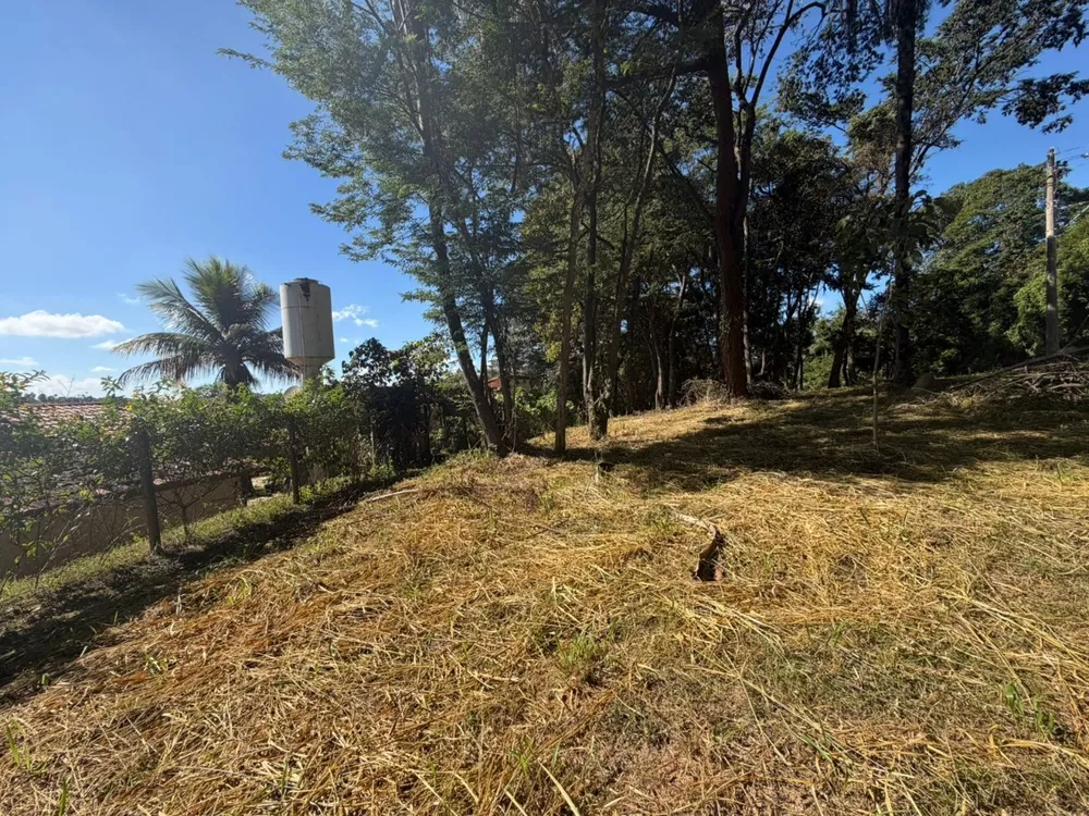 Terreno, 2450 m² - Foto 6